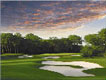 Golf Tee Times