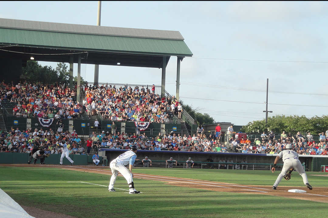 Overview of the Myrtle Beach Pelican's Minor League Baseball Game