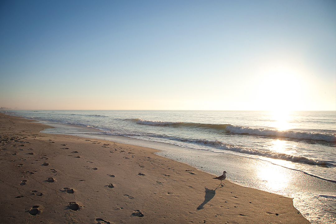 Sunrise over the ocean