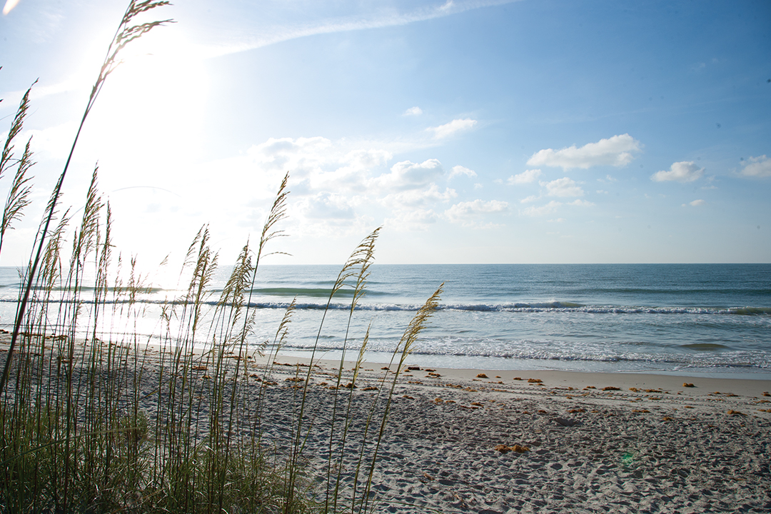 Early Morning at the beach