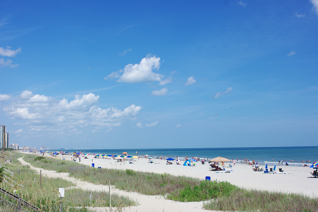 Blue Sky and Ocean