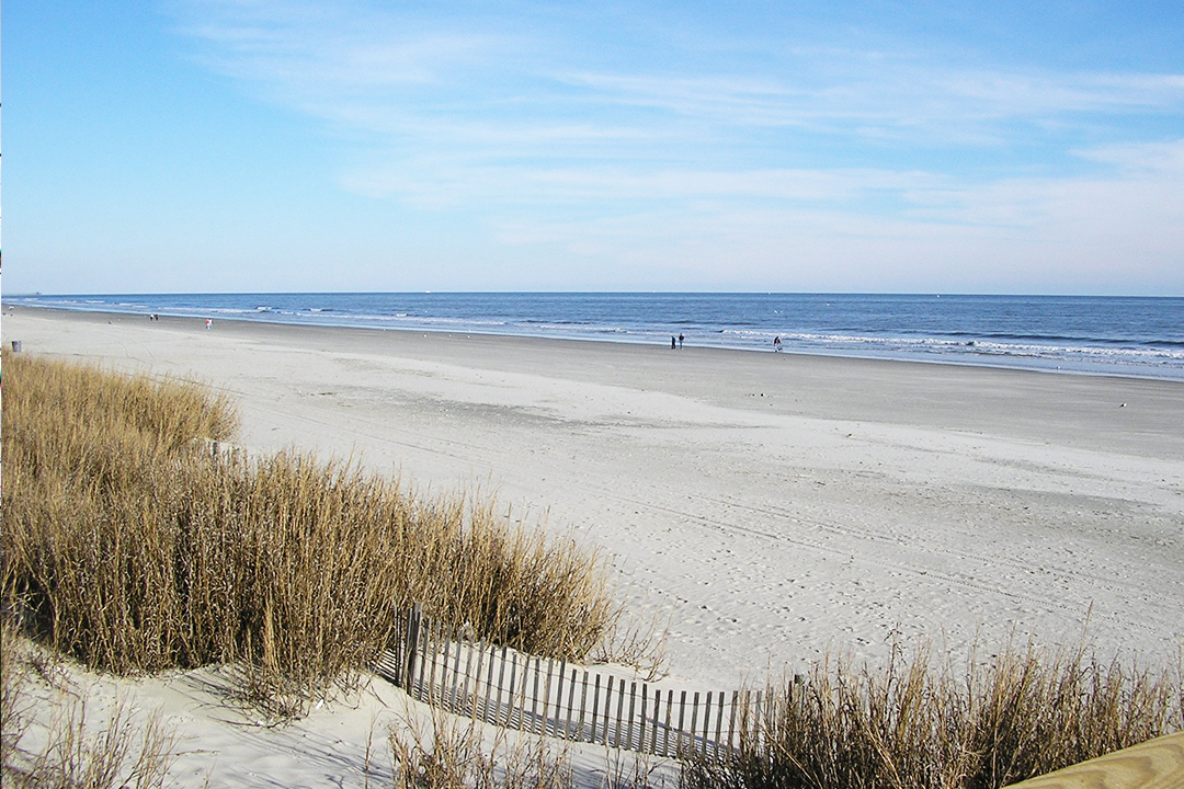 Beautiful view of the beach during the day