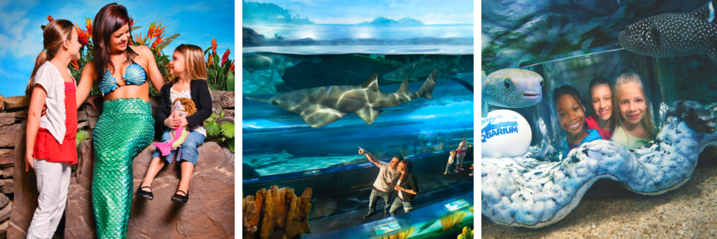 Ripley's Aquarium