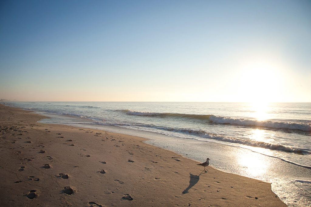 Beach view