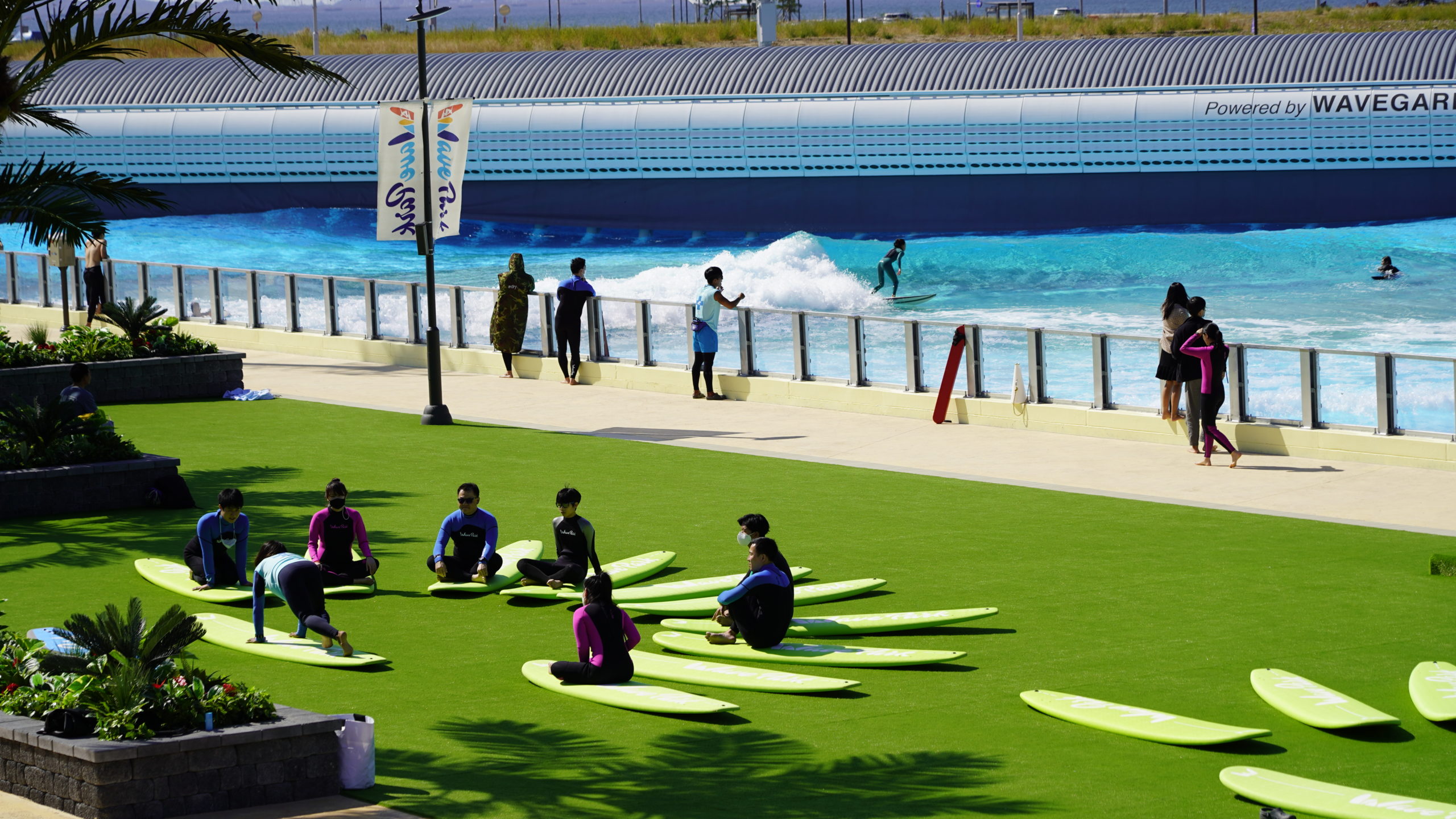 People sitting on surfboards learning how to surf