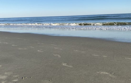 empty beach empty beach