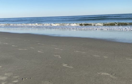 empty beach