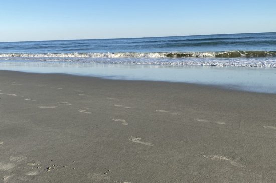 empty beach empty beach