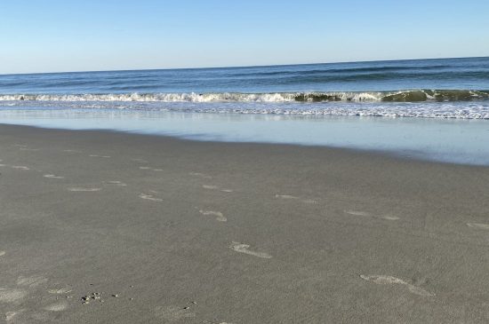 empty beach