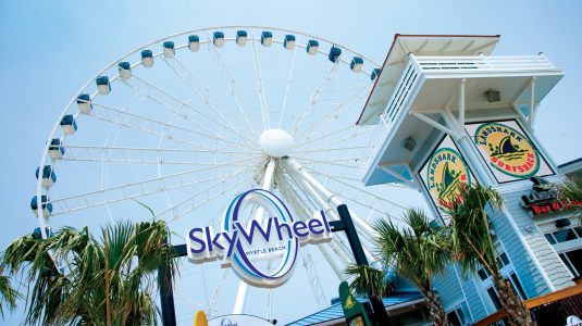 Looking up at the skywheel with a palm tree in the corner