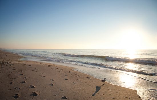 Beach view