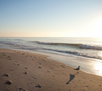Beach Sunrise