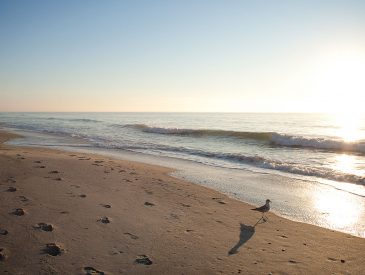 Beach Sunrise