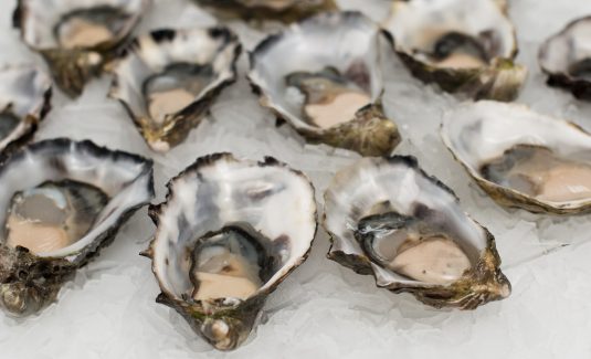 Oysters on ice to be served Oysters on ice to be served