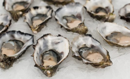 Oysters on ice to be served