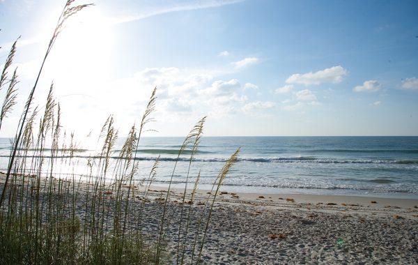 pr beach10